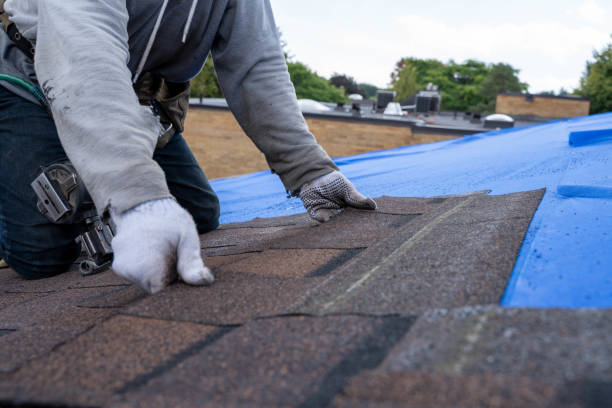 Professional Roofing services in Deerwood, TX
